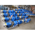 3RP series sanitary honey rotary lobe pump